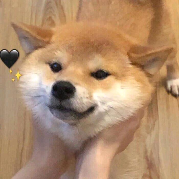 青木