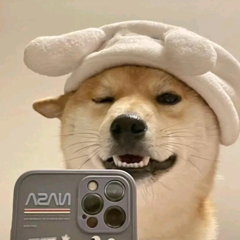 动感光啵✨