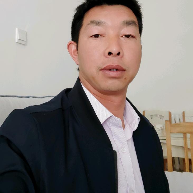 懂张西望柯柯气气