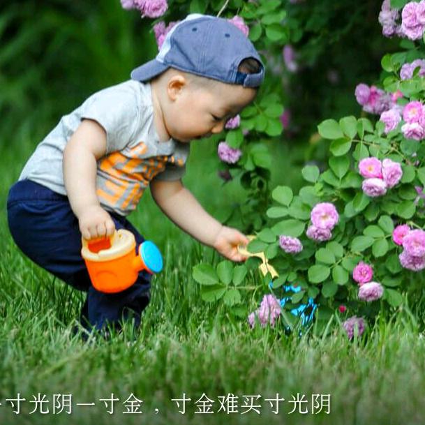 走天涯