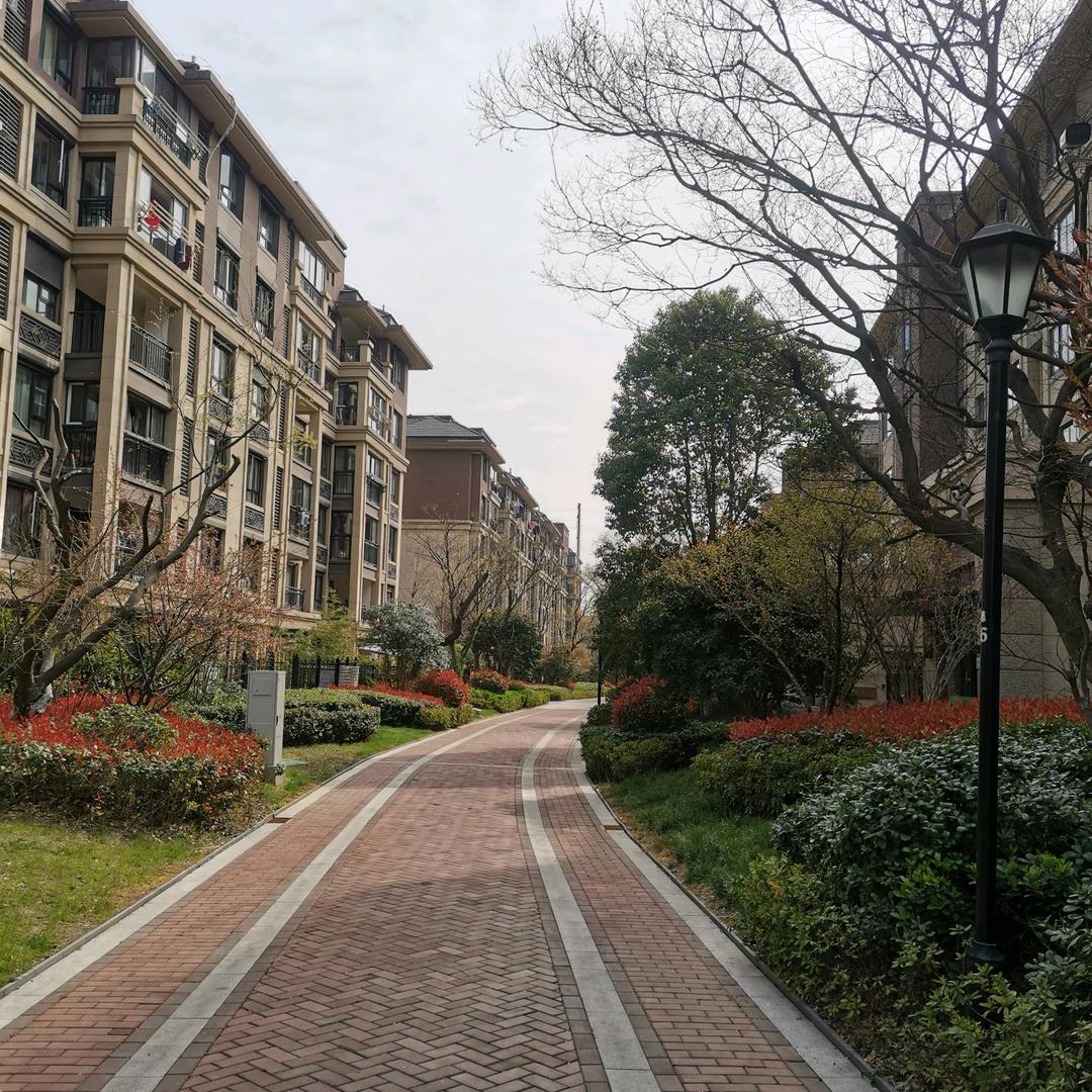 常熟郑哥楼市