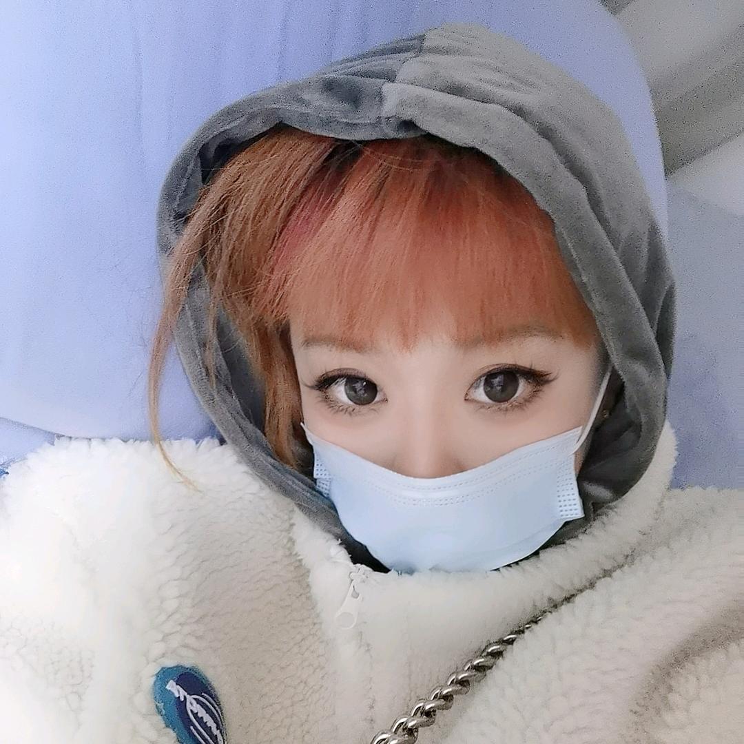 西红柿你个忒玛头   ˇ