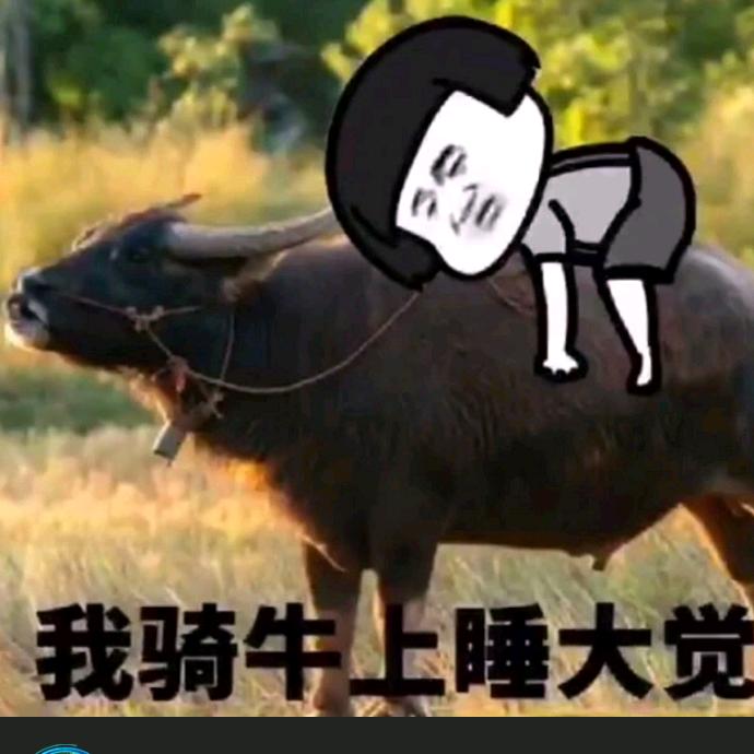 ℳ̶̶̶̶໌໌້ᮨ被愛💞摧毀ℳ̶̶