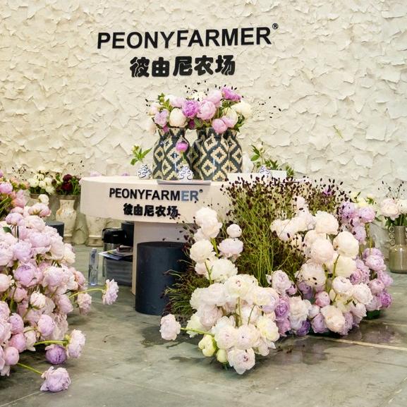 北京彼由尼芍药农场