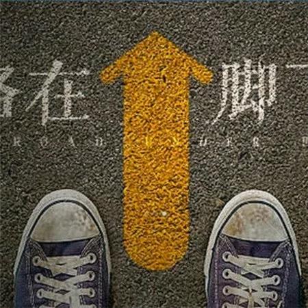 鲜虾炖萝卜