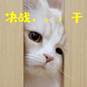 怀旧fc游戏❤️猴子