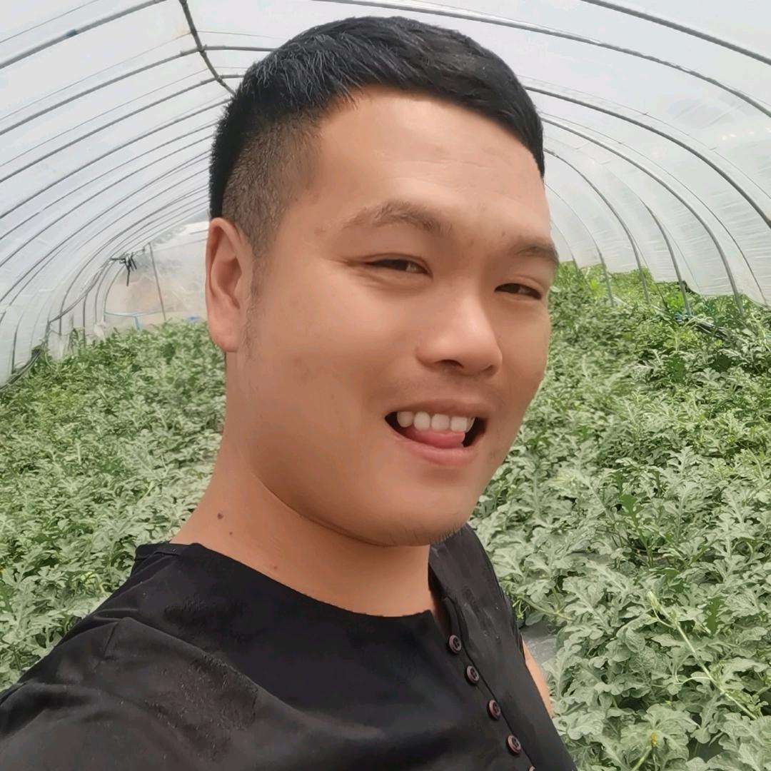 大力哥