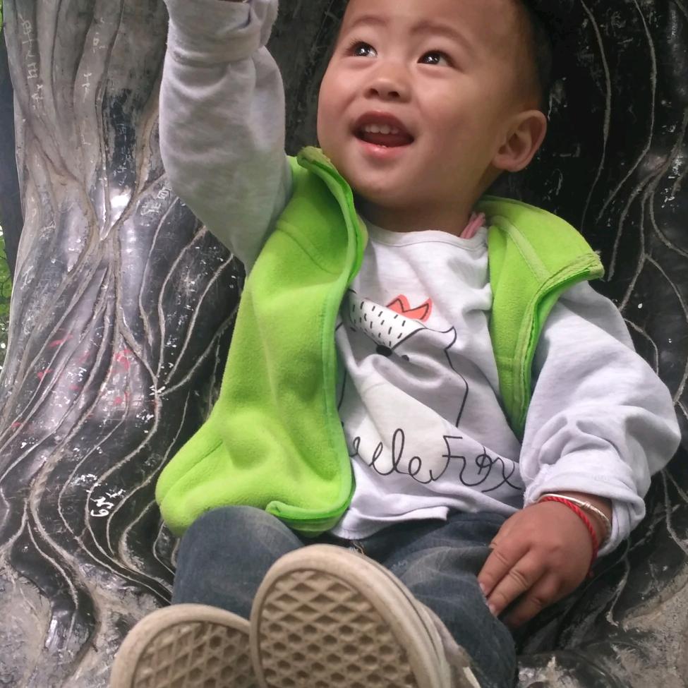 自由人（宇辰奶奶）