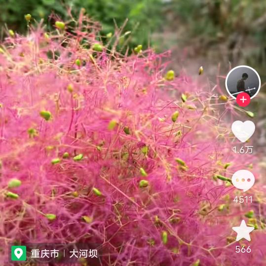 调理养生