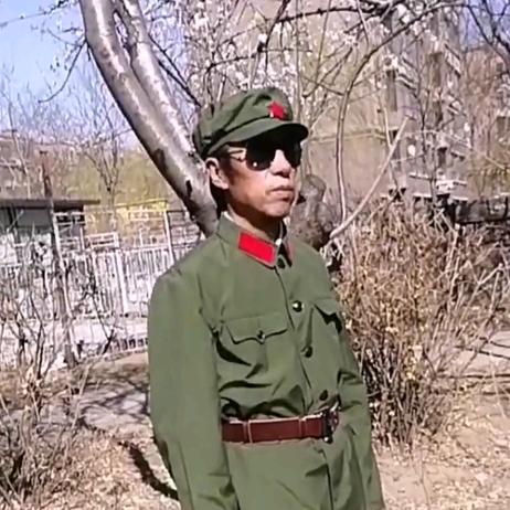 大漠胡杨