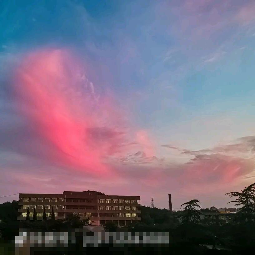 淡听细雨声
