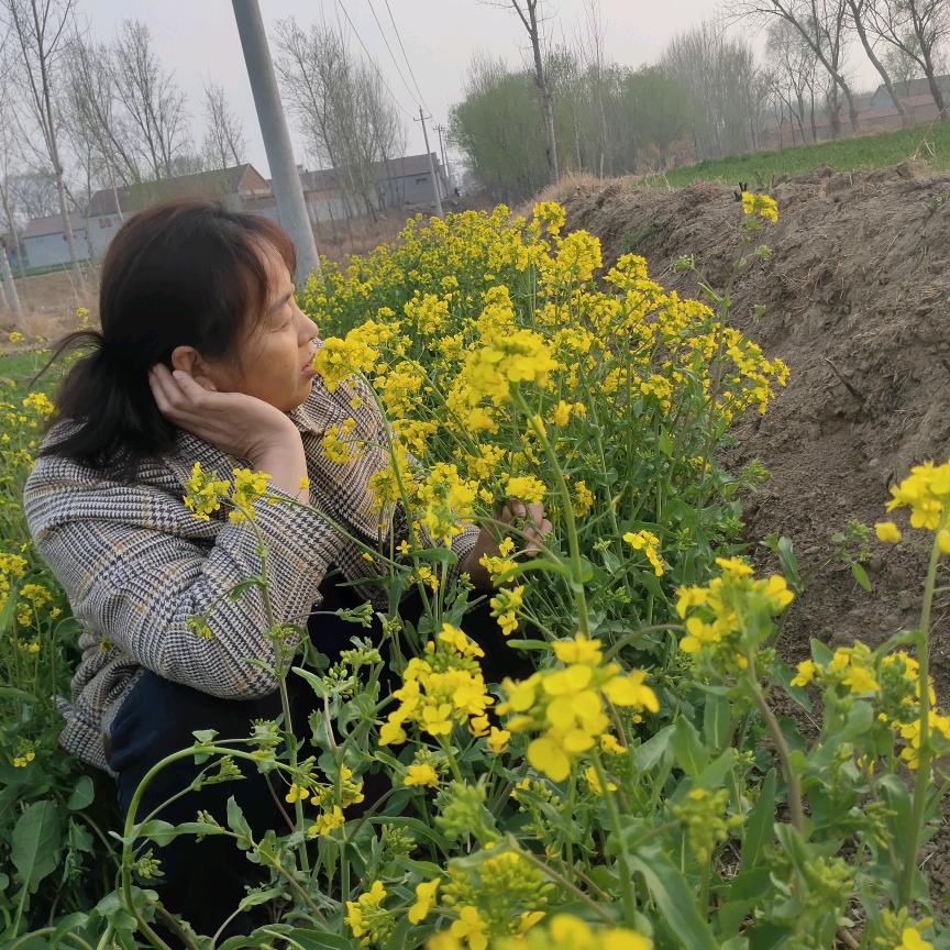 流星是天使的眼泪