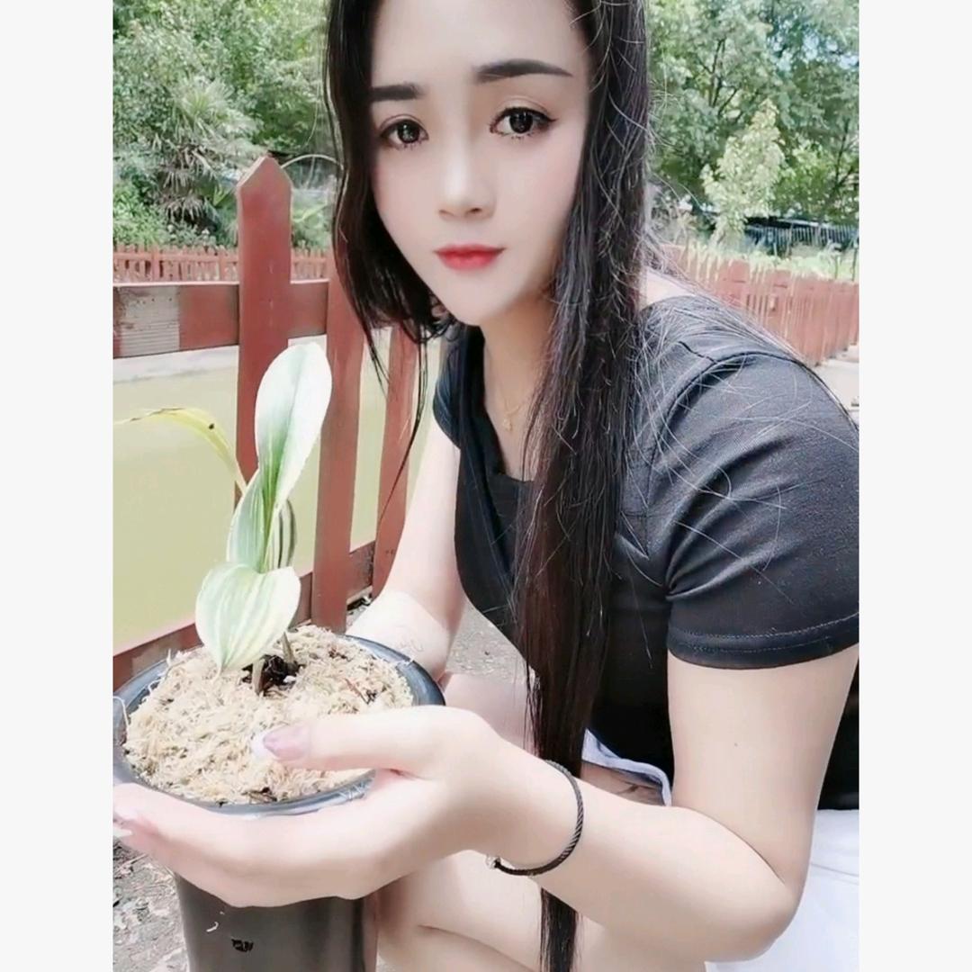 兰花小娟妹