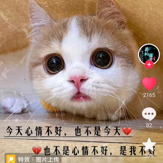 此昵称不存在