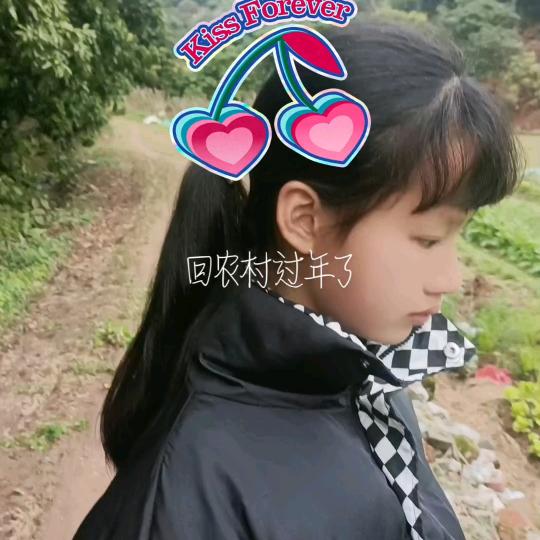 紫云