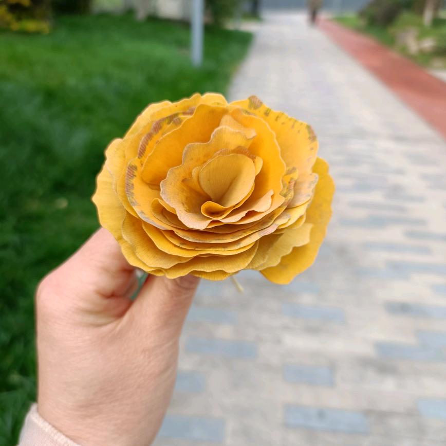 海尔家电依米花