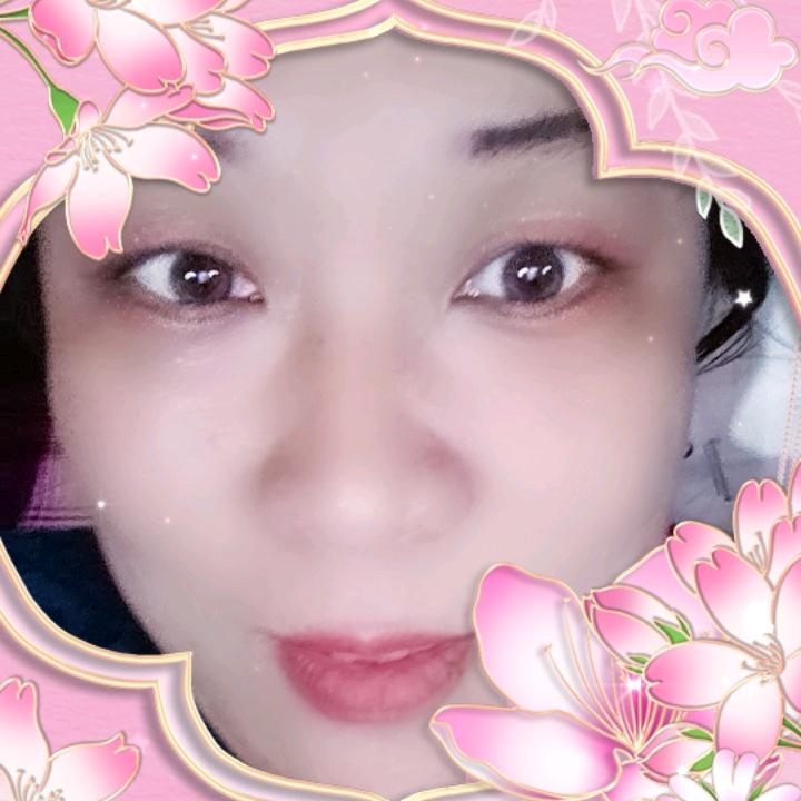 锤子理事会757559