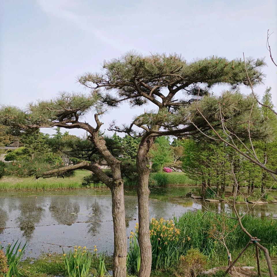 天佑中华
