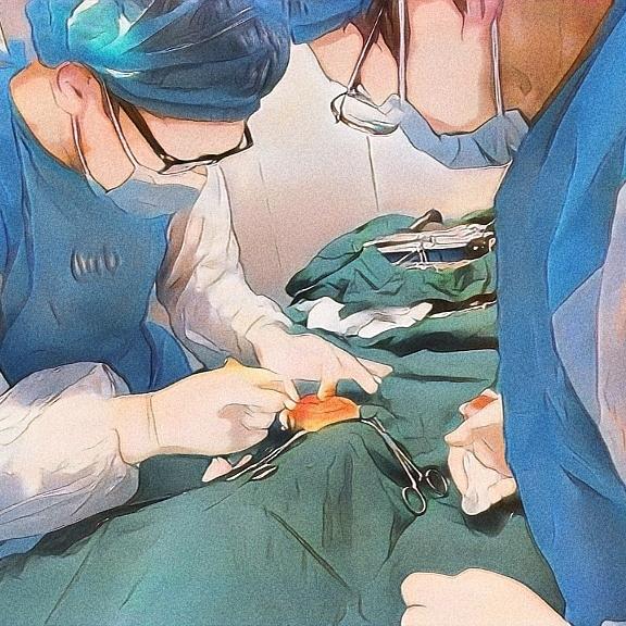 格尔木博仁动物医院