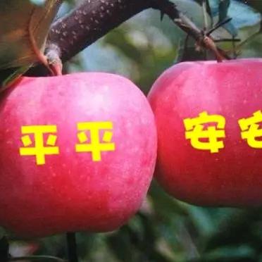平平安安