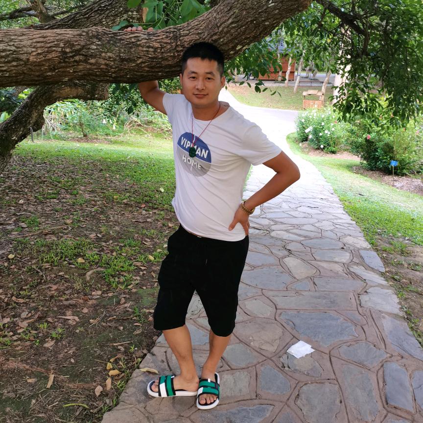 易武小龙龙