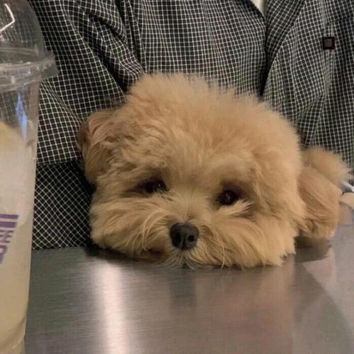 追寻光的方向
