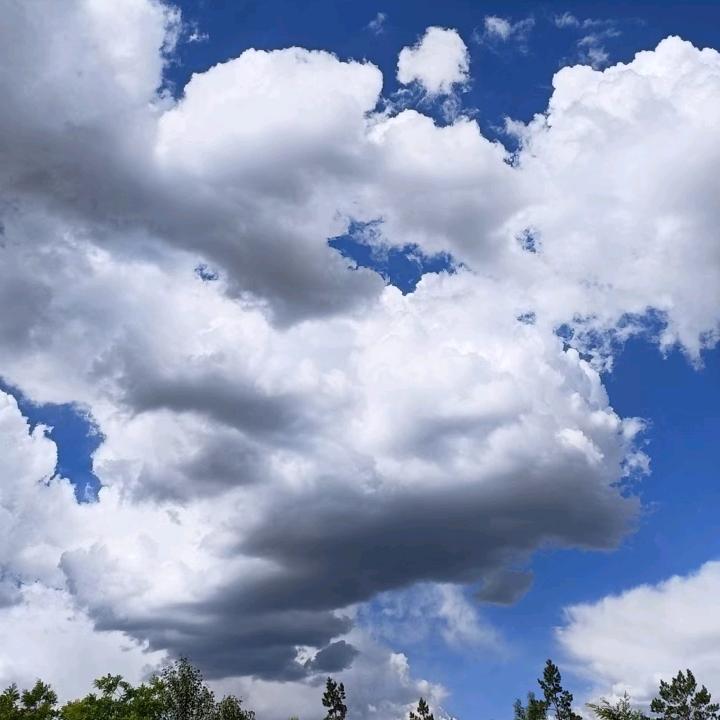 遗忘的过客