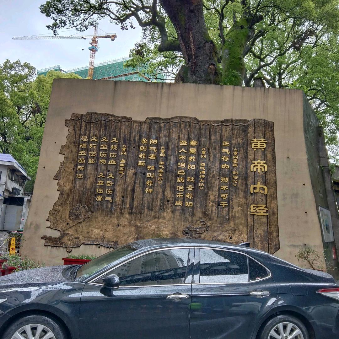 顺其自然