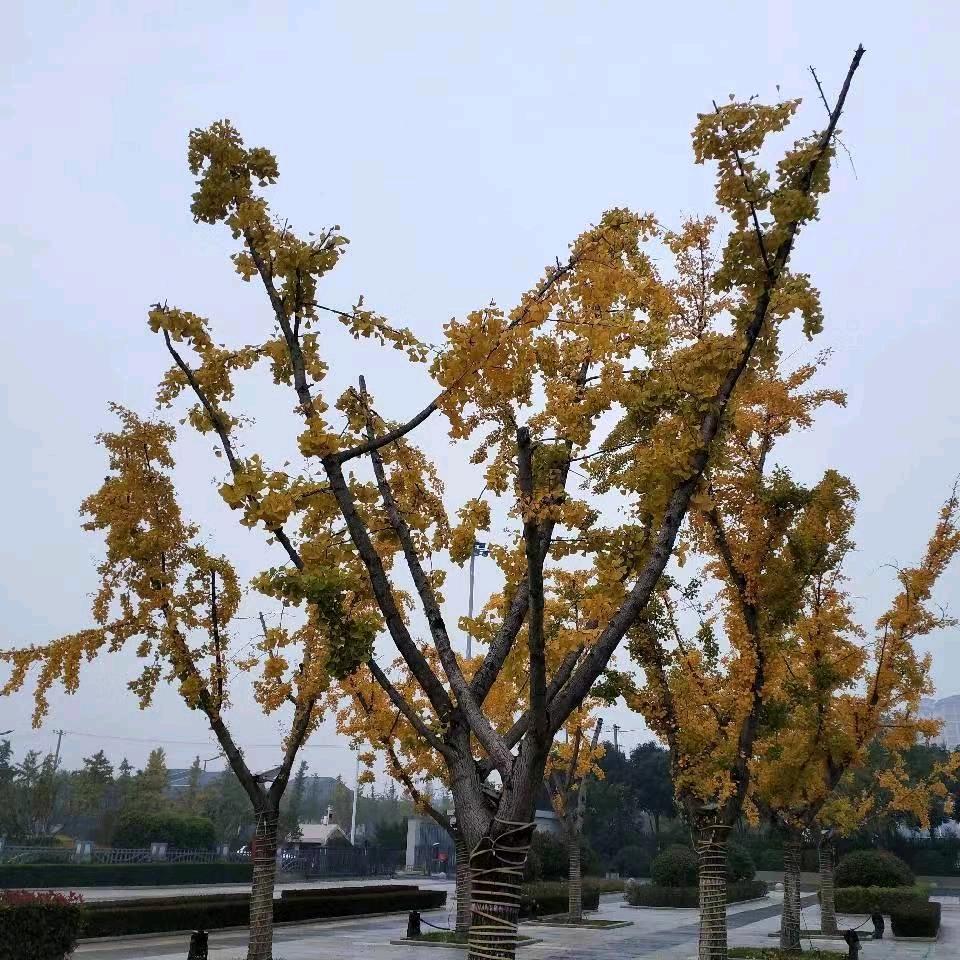 人生不易