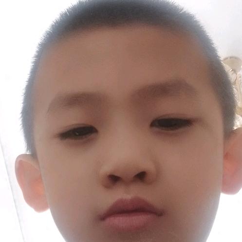 黑深林
