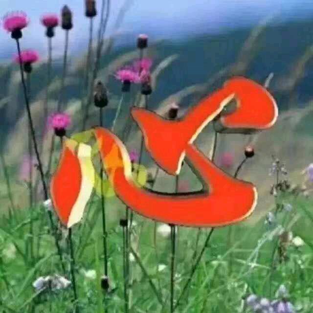 玉花