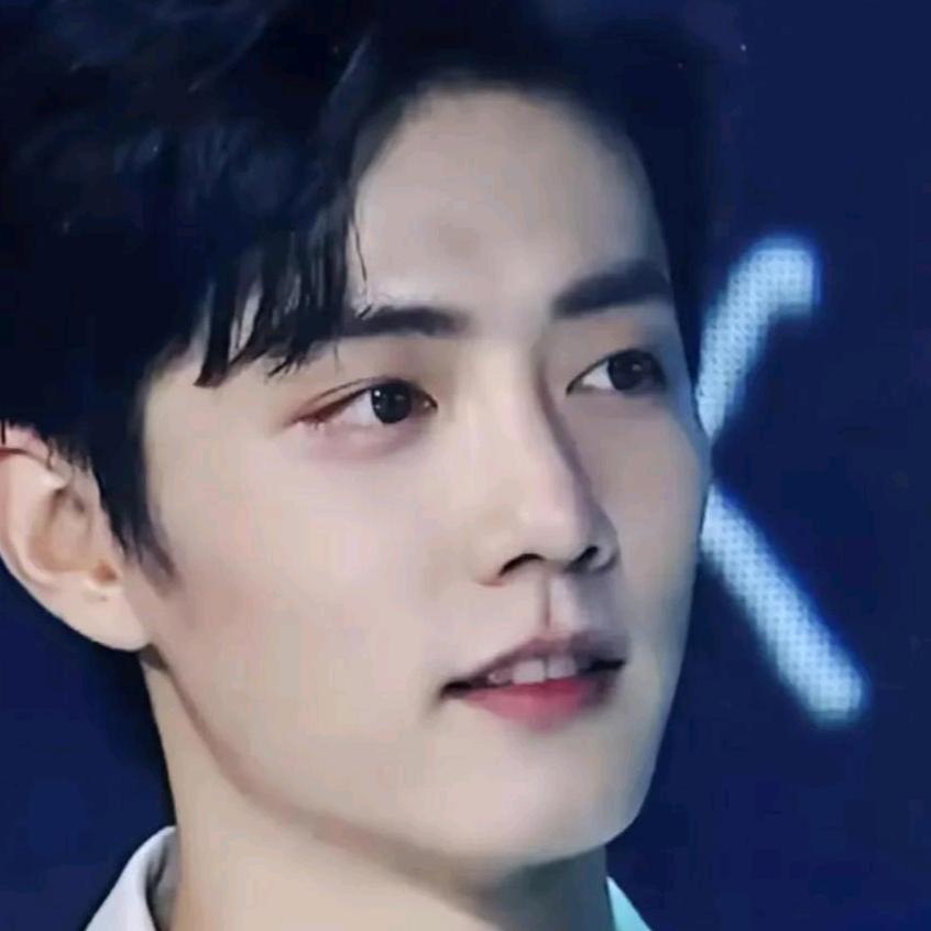 丽声丽影🐰