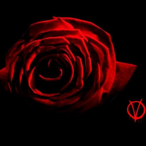 V