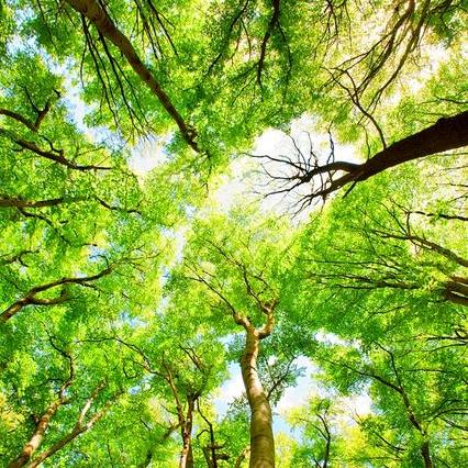 晶娃的睡前小故事