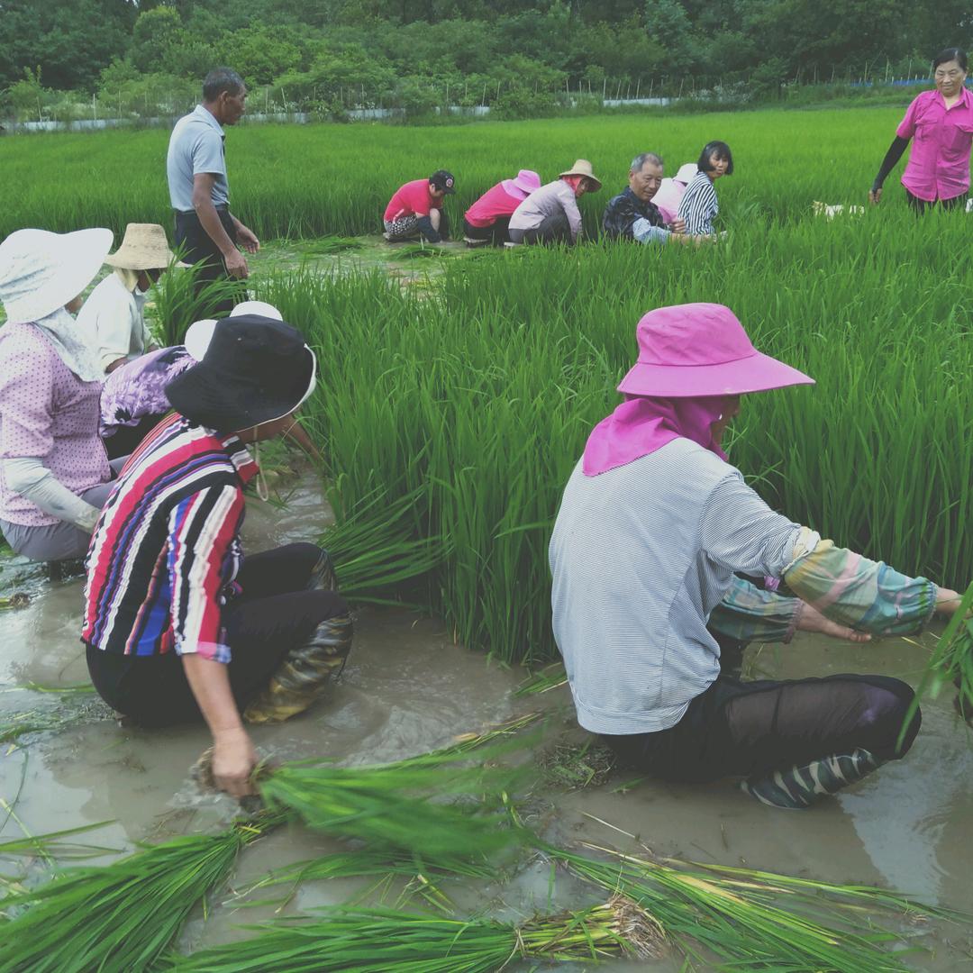 奋斗永不放手坚持就是胜利