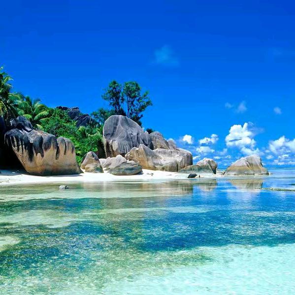 用户社会大学教授