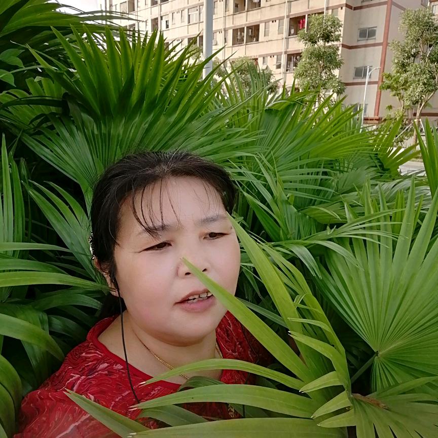 胡琼