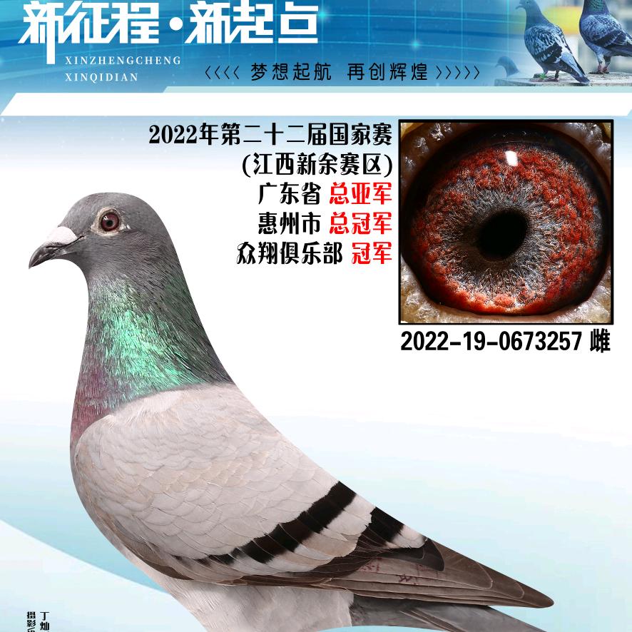 惠临金鸡鸽舍