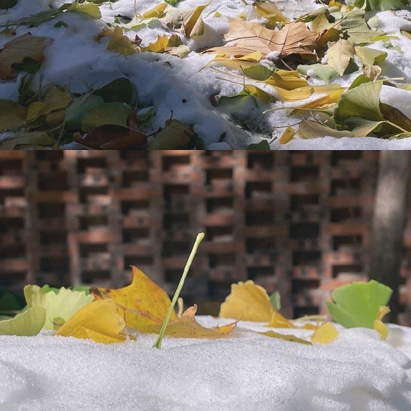 没有答案