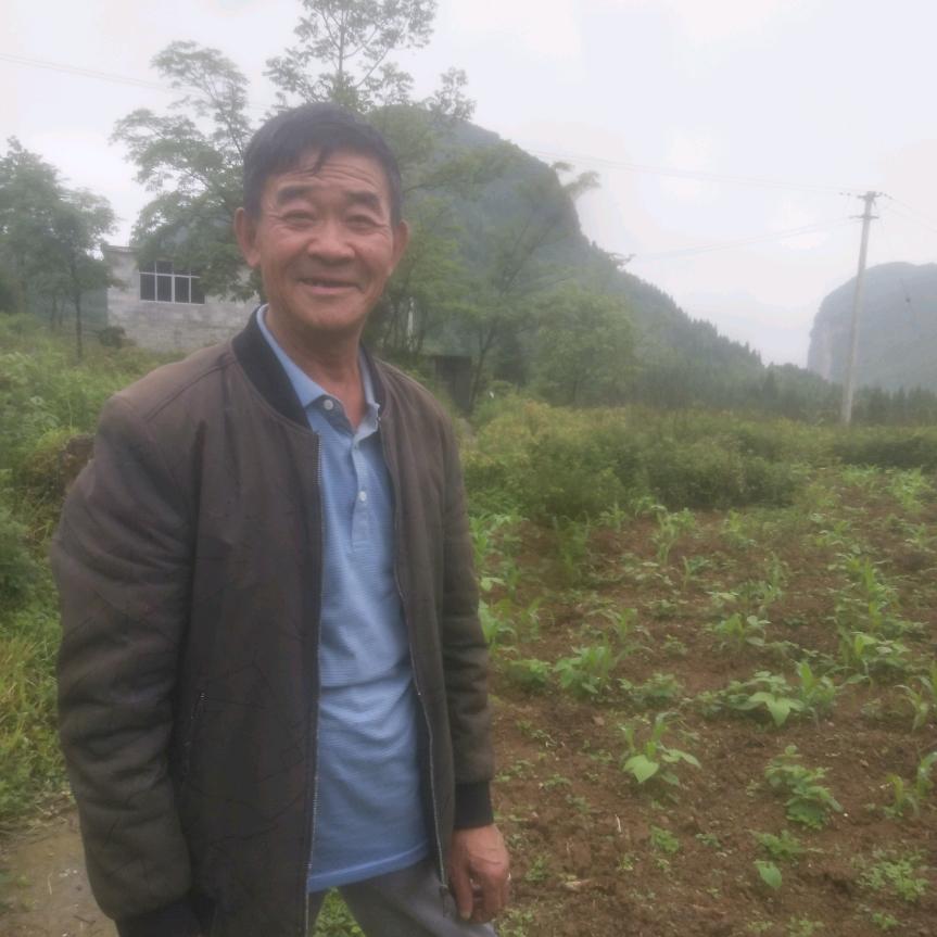 快乐人生