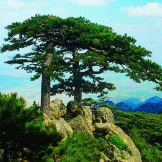 知足常樂