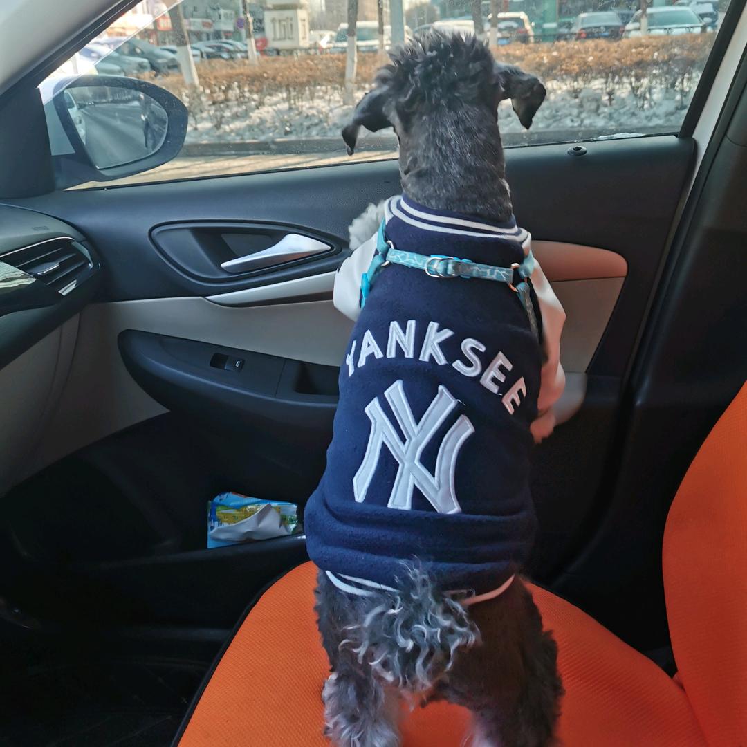 🤗爱吃大虾的汪