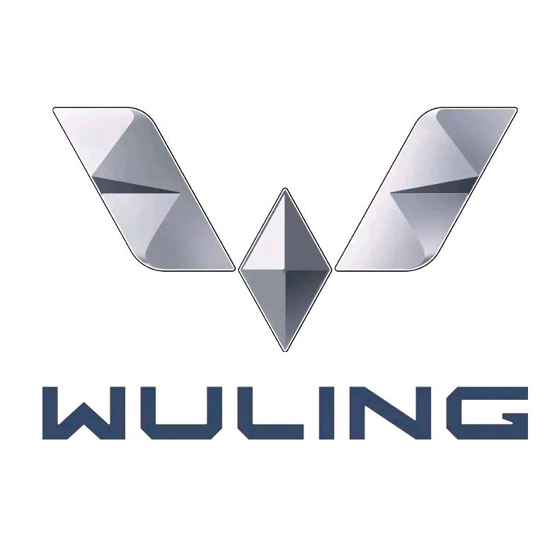 五菱汽车（东莞顺利万江店）