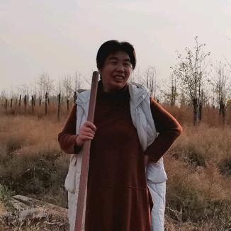 丁一帆讲合和学（生活号）