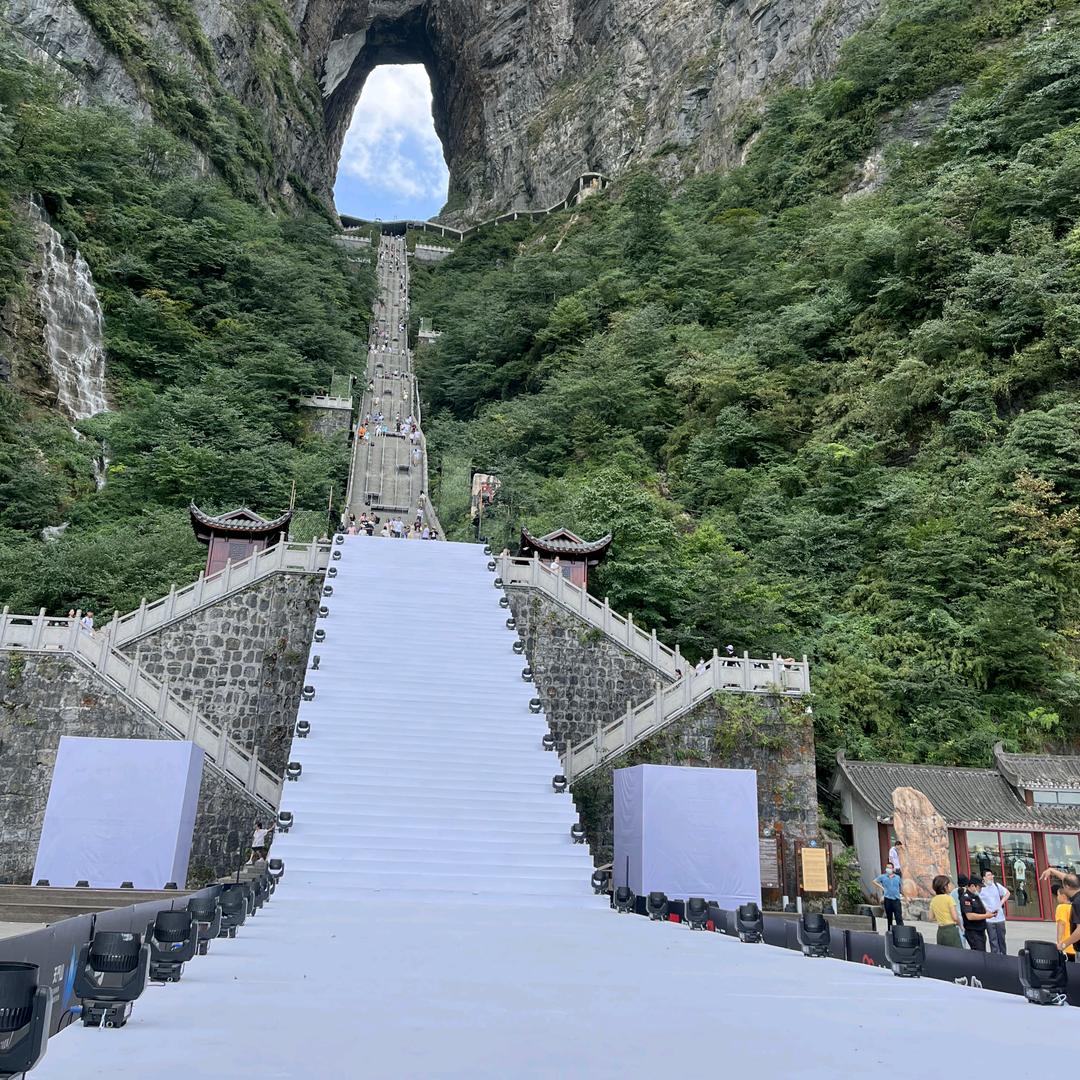 🌾轻舞飞扬🌾