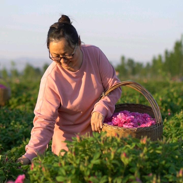 花之玫护肤旗舰店
