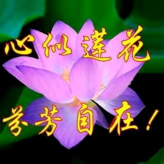 小草。，