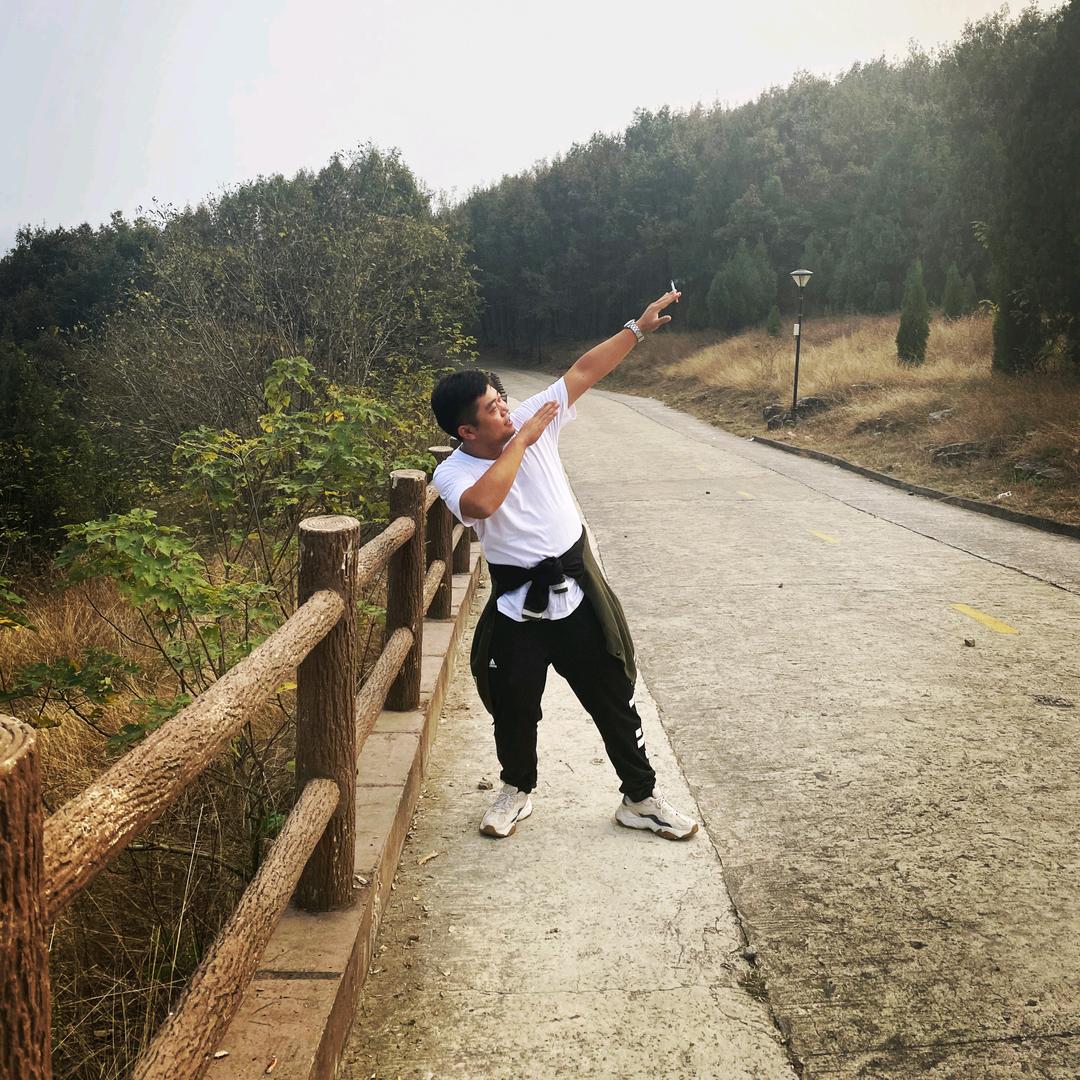 天禧派家居-石楠