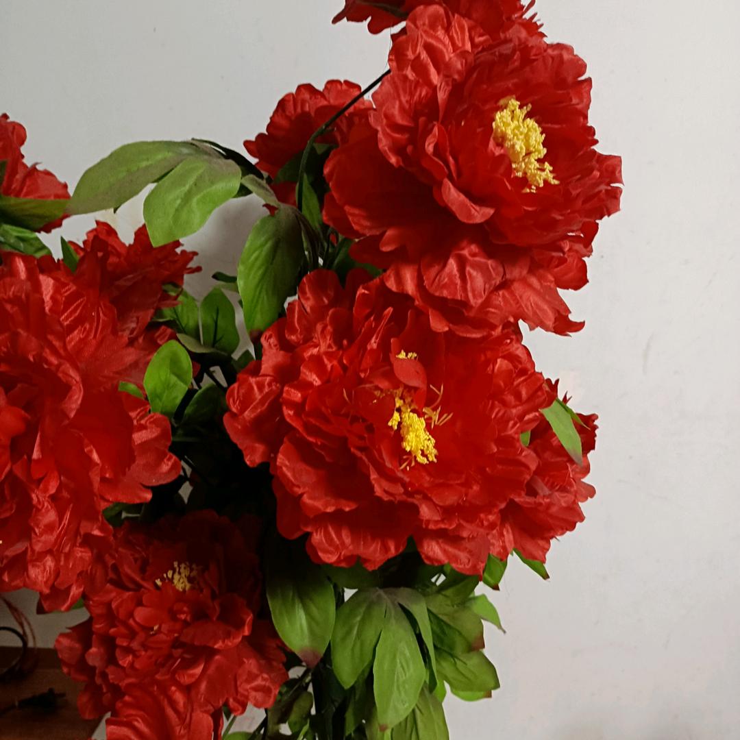 早上好！早上好