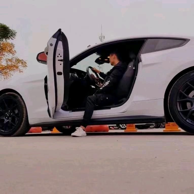 飞骋好车